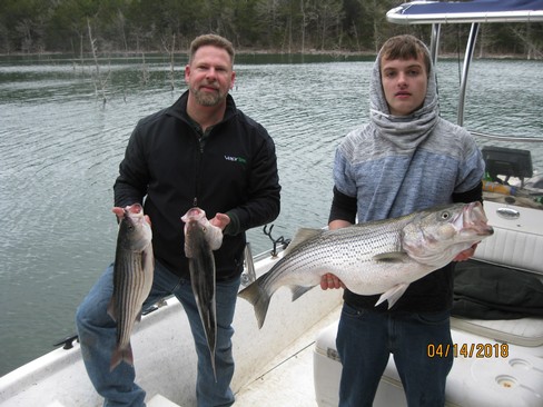 Nice Striped Bass